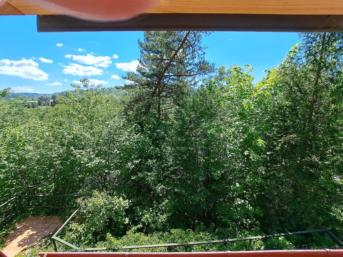 Srub nad Sázavou 3+kk, 74m2, pozemky 1140 m2, Kaliště - 19