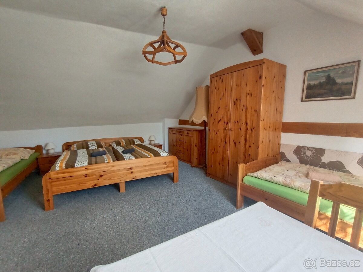 Prodej RD, chalupy u rybníka Mnich v Netolicích. - 19