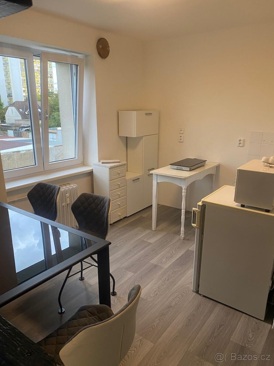 Pronájem garsonky - 19