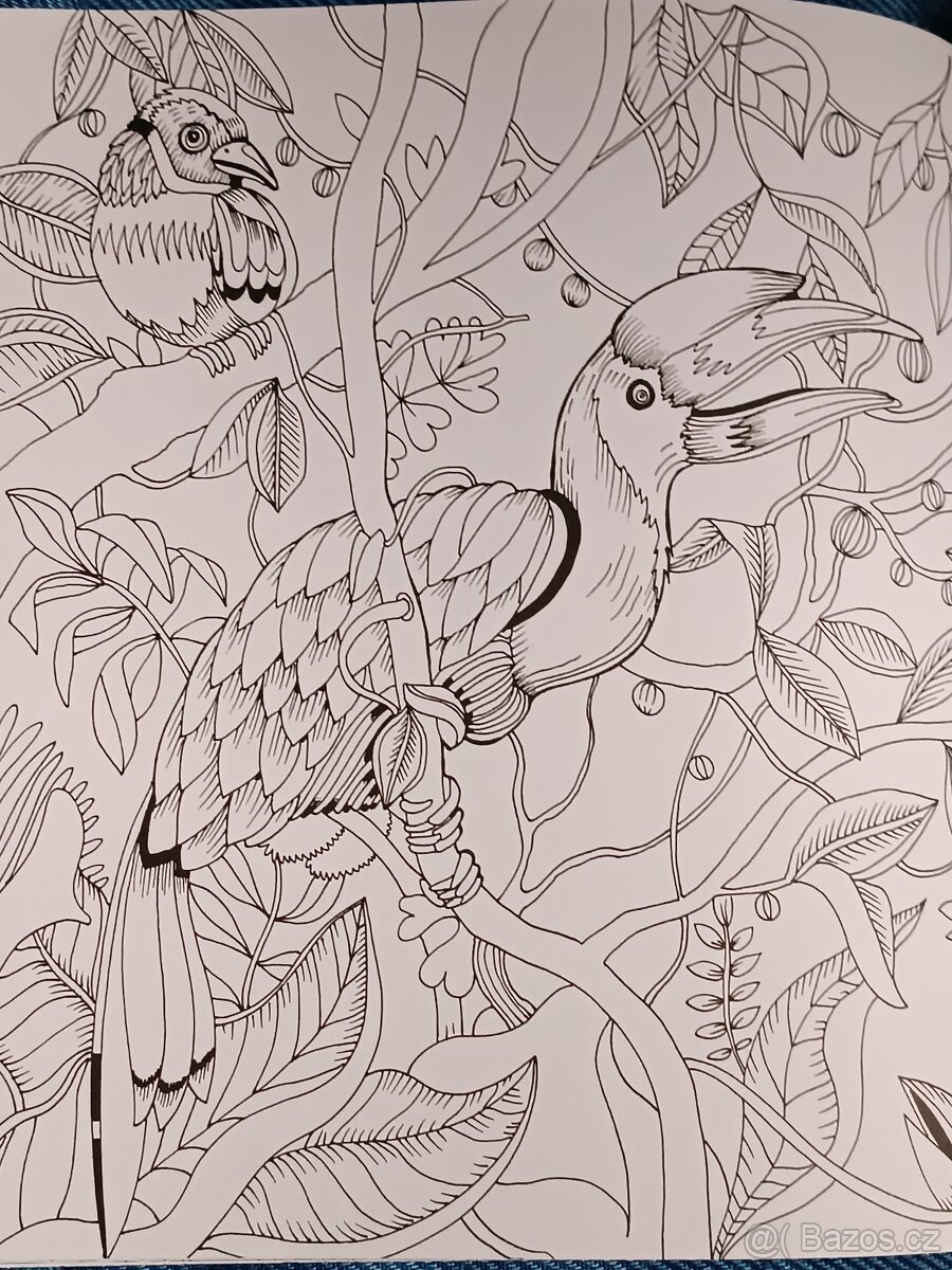Omalovánky pro dospělé Exotický prales - 19