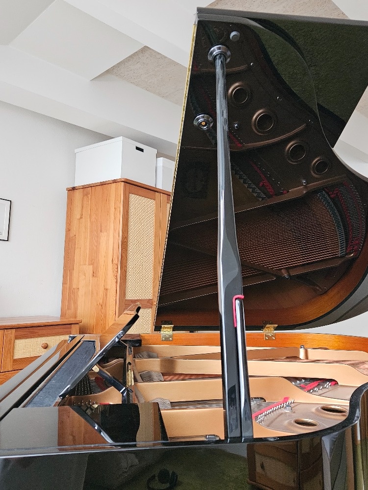 Piano Yamaha GB1K PE - 19