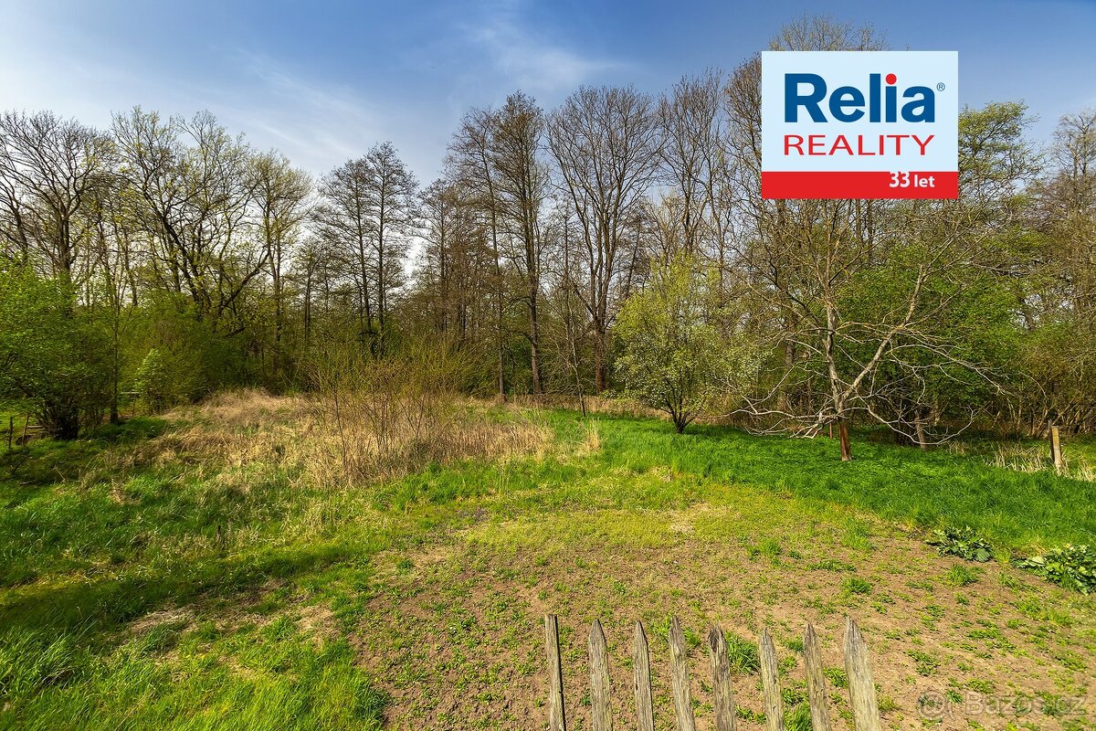 Statek s lesem a vodní plochou v Černé u Bohdanče, 10.458 m² - 19