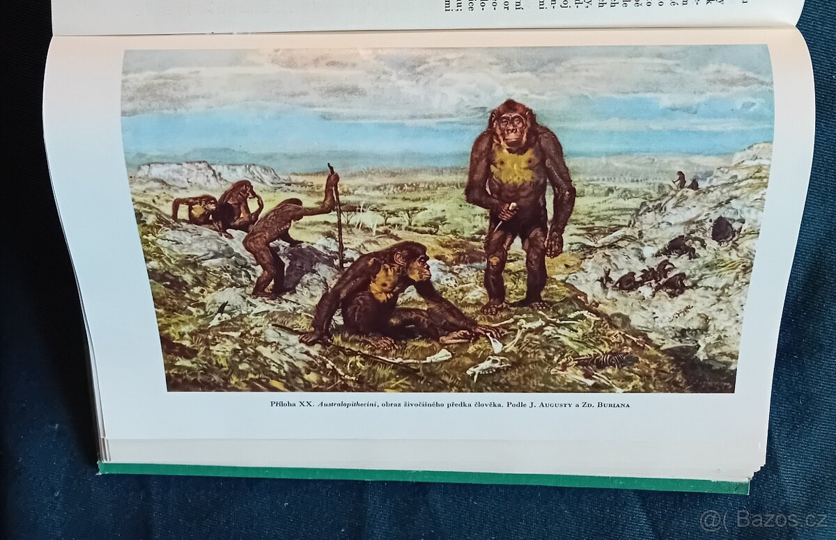 GEOLOGIE - MINERALOGIE - KNIHY - 19