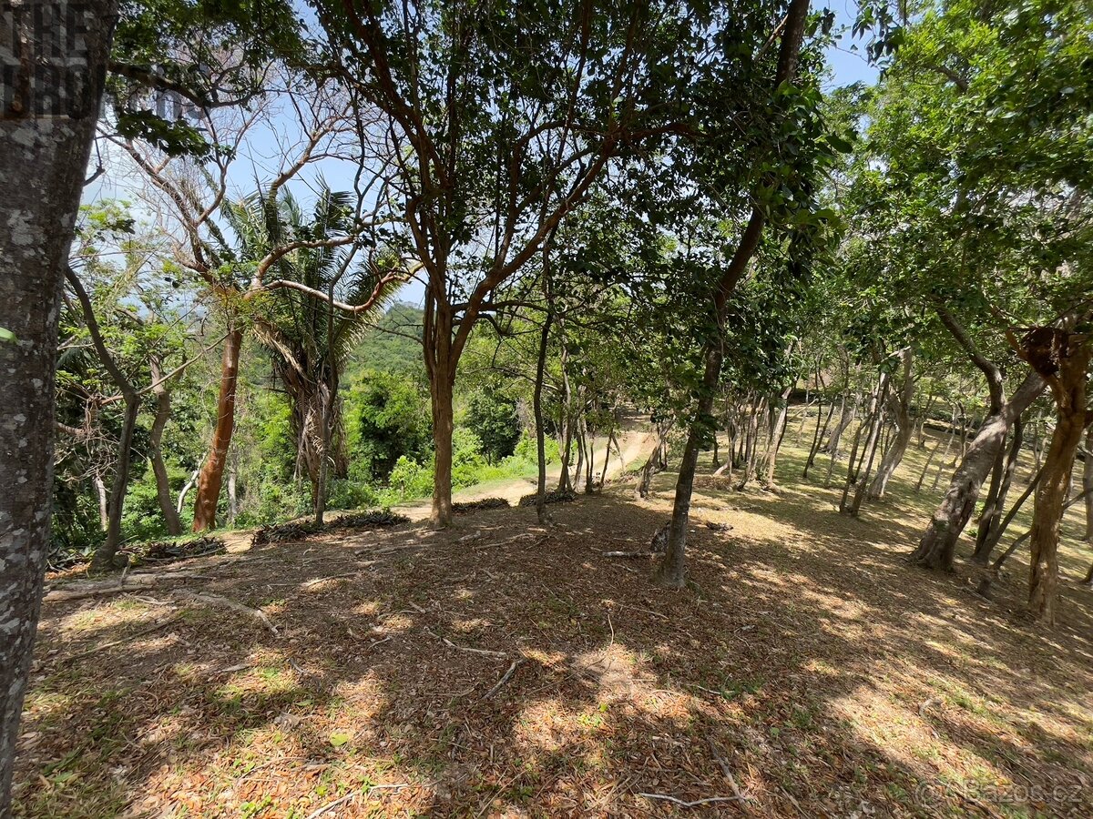Lot 1 Bodden Bight Estate, Roatan - 19