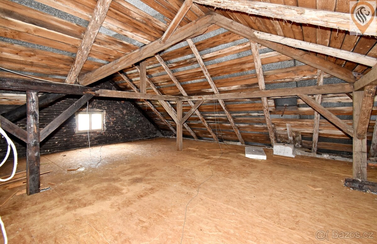 Víceúčelový dům s bytem 5+1 a prostory k podnikání – Šenov u - 19