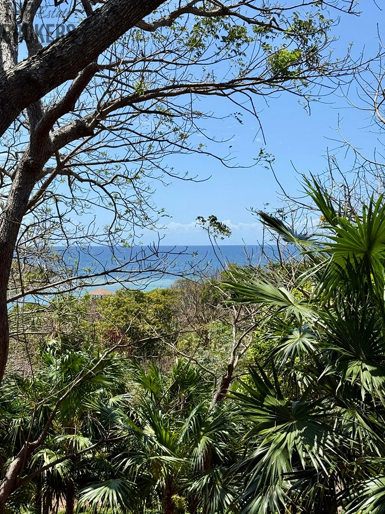 Atocha Lot 1&2 -First Bight, Roatan - 19