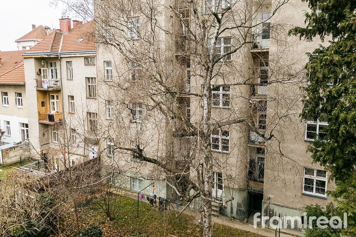 Pronájem bytu 3+kk 97 m², Brno - Královo Pole, ev.č. 01973 - 19