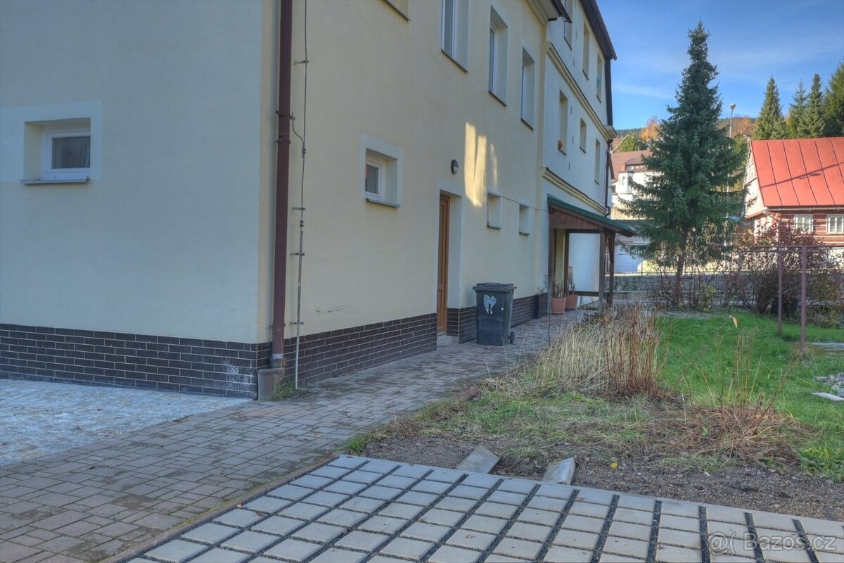 Prodej bytu 2+1, 55 m2 , Rokytnice nad Jizerou, Horní Rokytn - 19