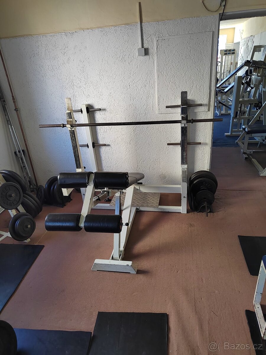 CELÁ POSILOVNA, STROJE, ČINKY - 19