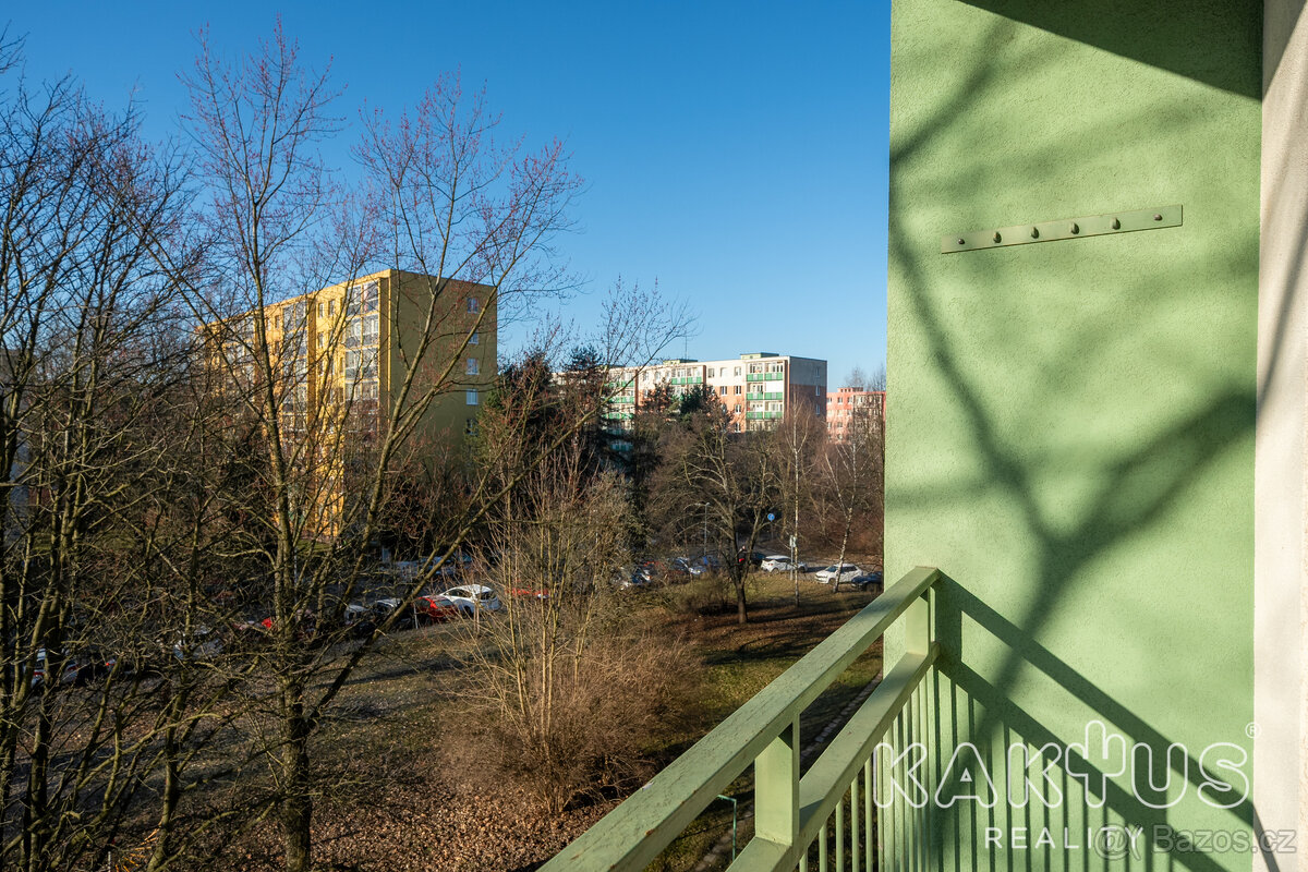 Prodej družstevního bytu 3+1 63 m², Havířov – Podlesí - 19