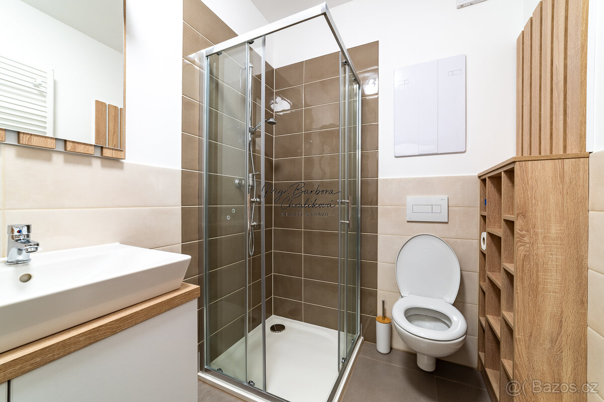 Pronájem novostavby 2+kk s balkonem a parkovacím místem, Zbů - 19