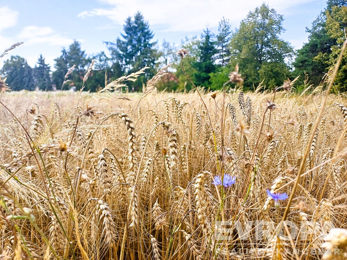 NABÍDKA pozemku v obci Okrouhlo, okres Praha-západ - 19