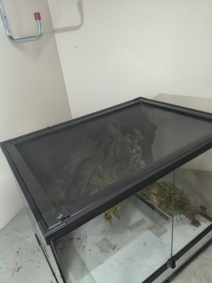 Terárium velké 60x45x45 - 19
