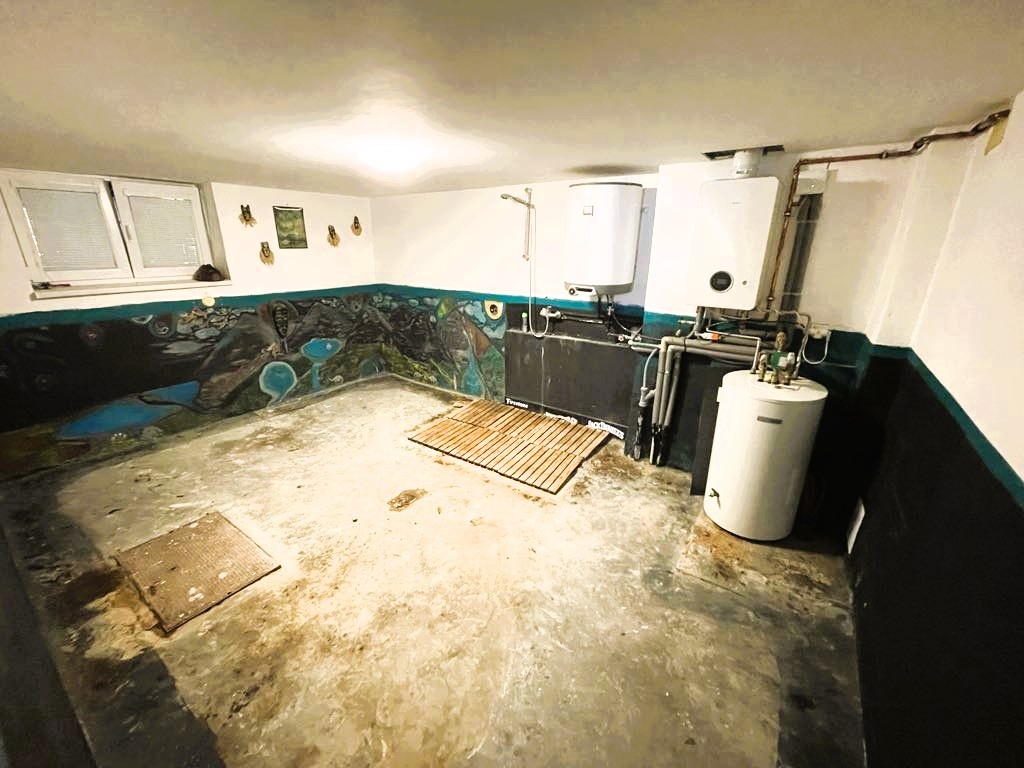 Prodej rodinného domu v centru Plzně, Slovany - 19