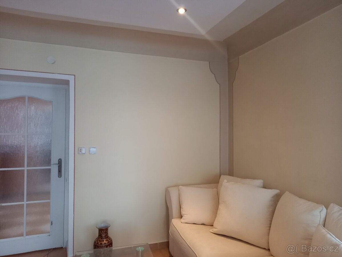 Prodej vícegeneračního domu 1476 m², pozemek 3410 m² Týn nad - 19