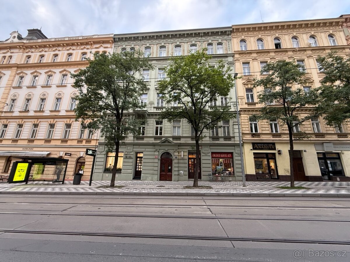 Pronájem bytu 3+kk, Praha 2 Vinohrady - 19