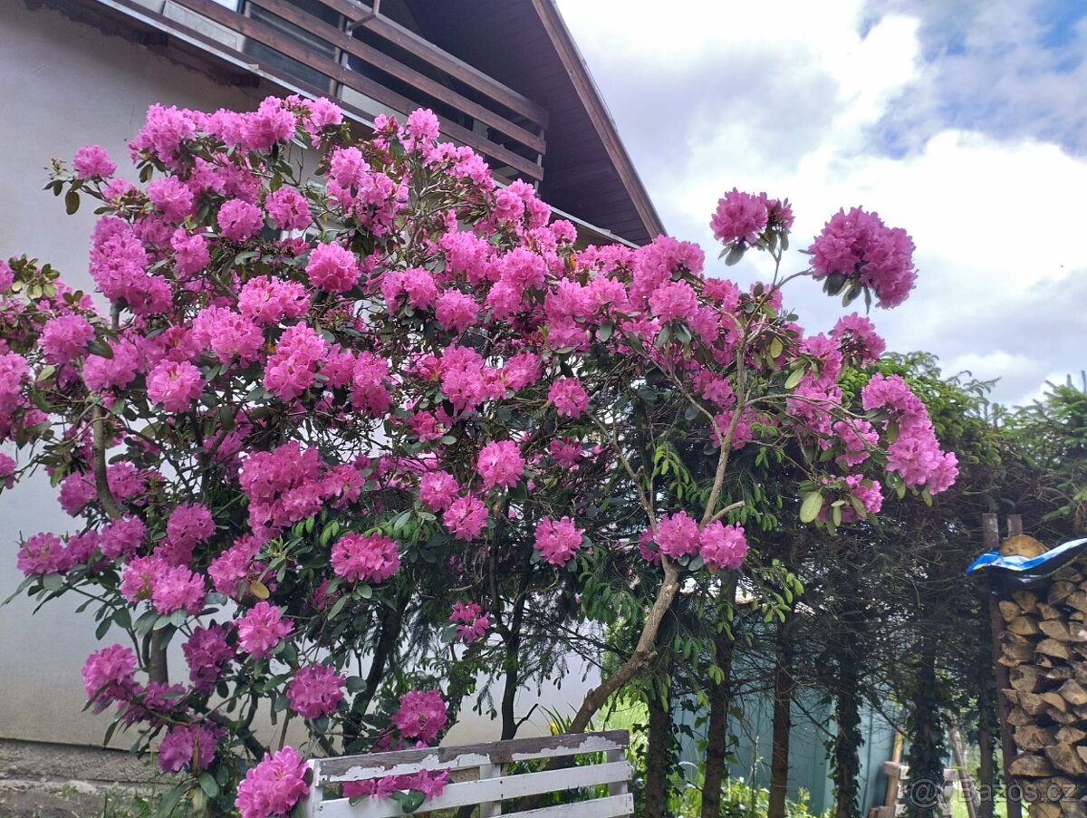 Celoroční obyvatelná chata - 19