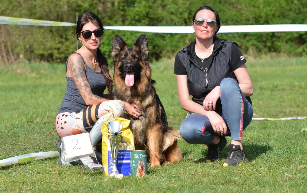 Německý ovčák s PP - 19