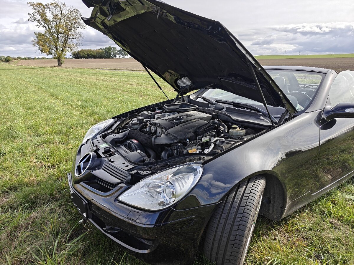 SLK 200 Mercedes Benz ( R 171 ) - 19