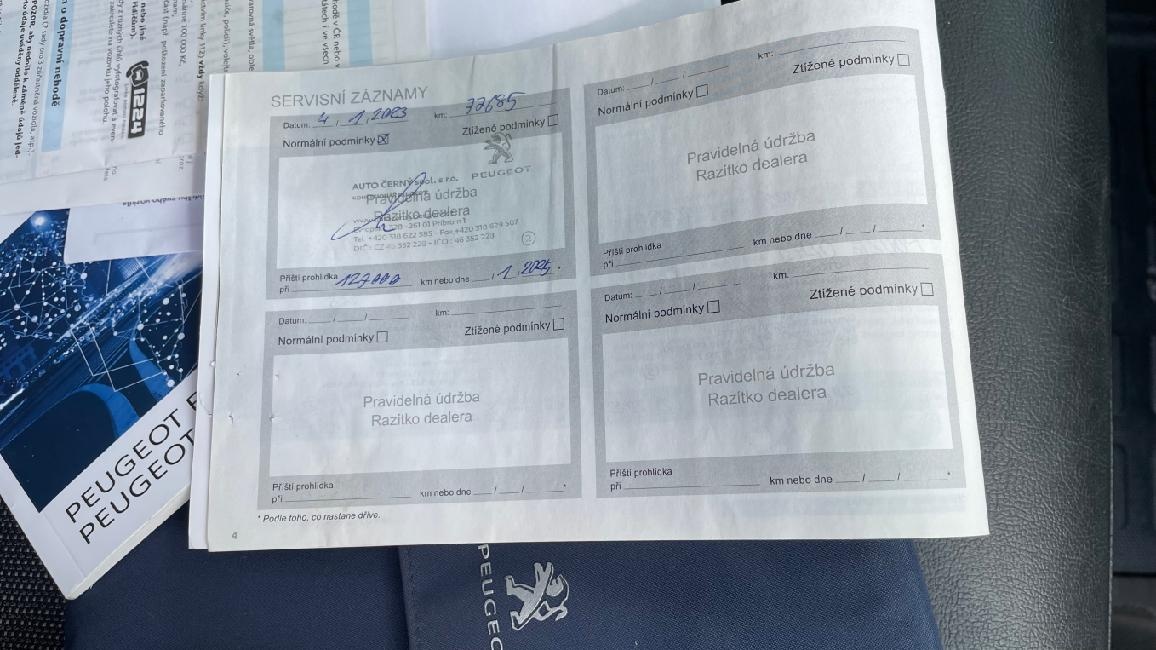 Peugeot Expert, 2.0 HDi 90KW / LONG / RV 9/2019 - 19