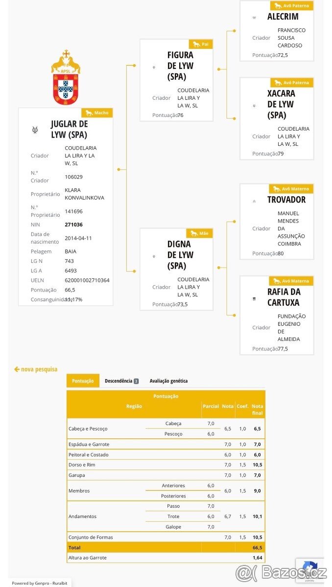 Lusitano klisna nar. 5/2024 - 19