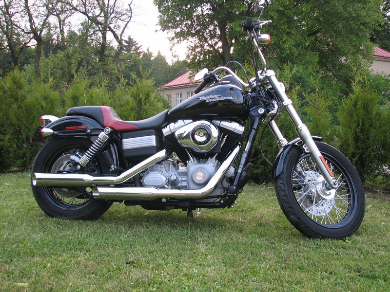 Harley Davidson Nové Nerezové Laděné Výfuky Thundering Eagle - 19
