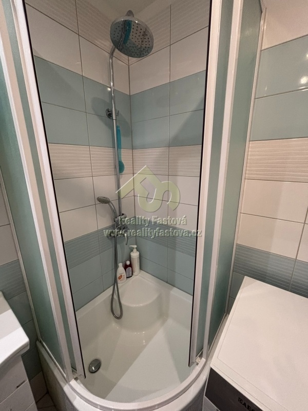 Plzeň – pronájem bytu 2+1 s lodžií - 19