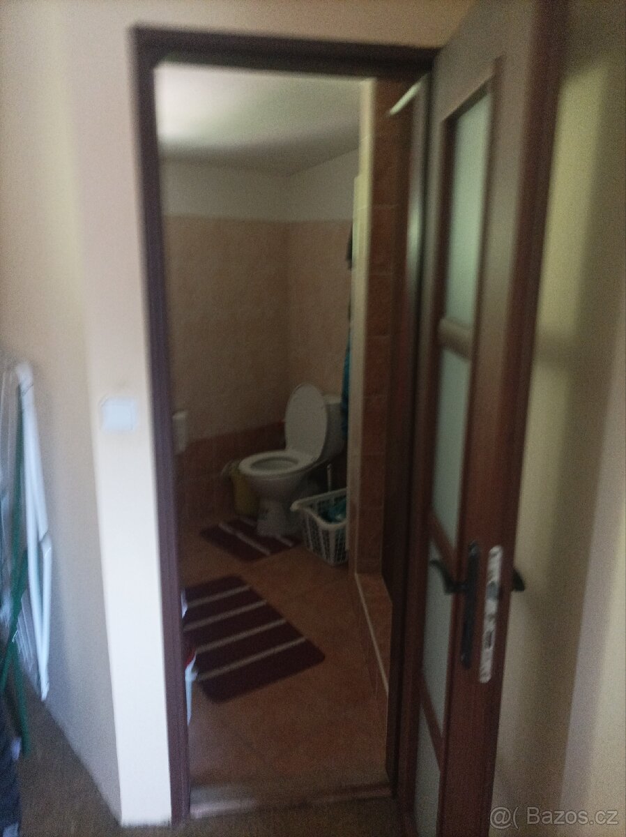 Prodám,pronajmu - 19