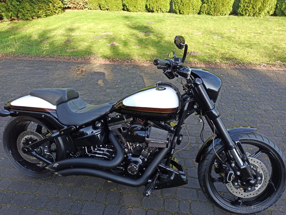 Harley-Davidson CVO Breakout - 19