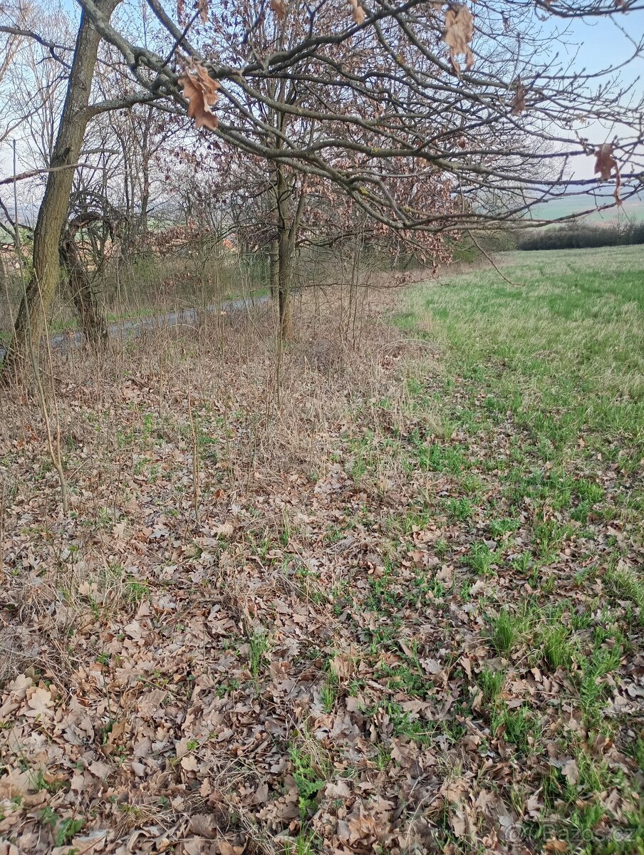 Krásný pozemek v luxusní přírodě. Neváhejte: Les, louka.... - 19