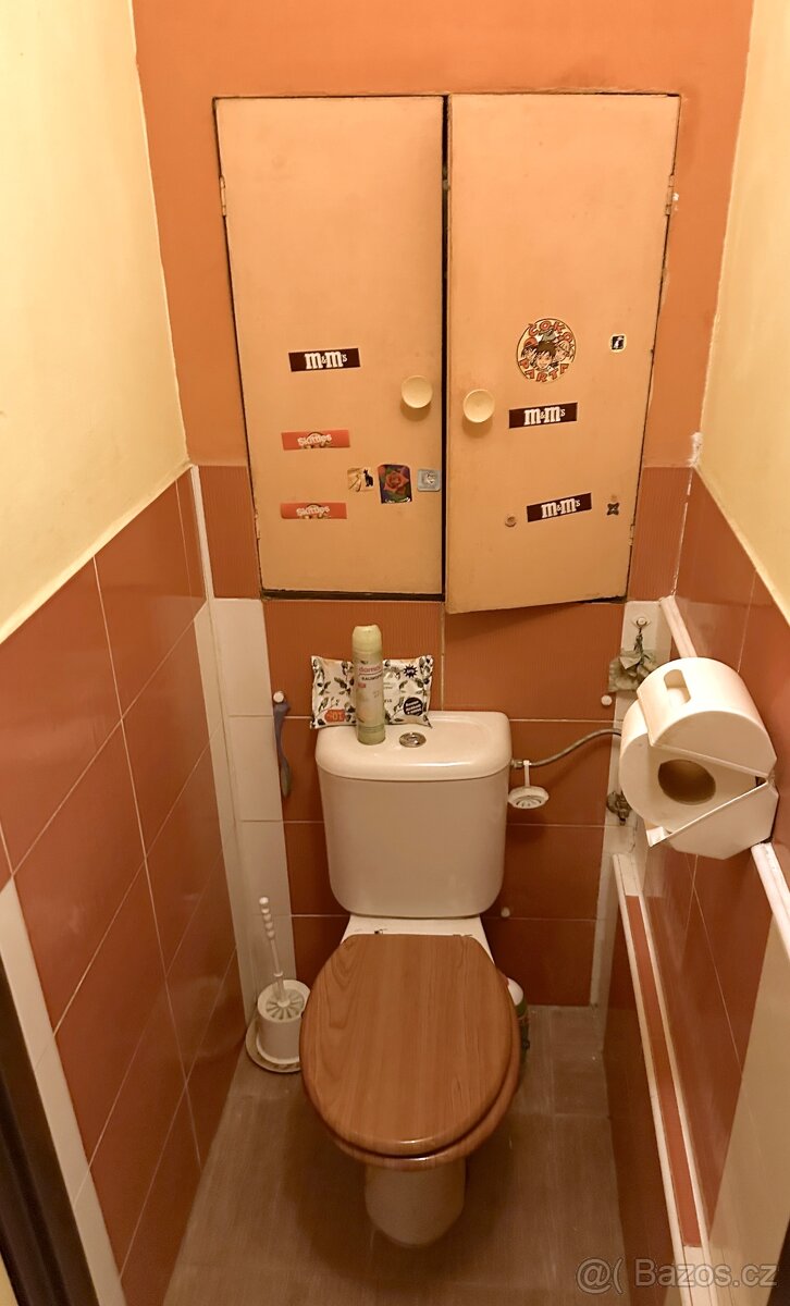 Prodej 2+1, Ostrava - Hrabůvka, ul. Fr. Hajdy, lodžie, 52 m2 - 19