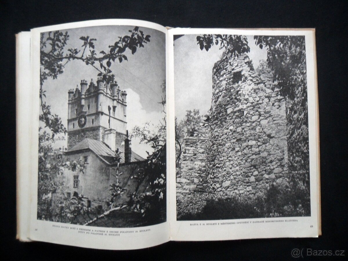 Umělecké památky Jihlavy ( rozfoceno 20 snímků ) - 19