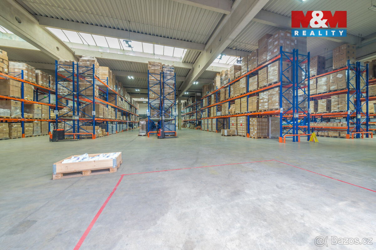 Pronájem obchodního objektu, 2348 m², Ostrava - 19