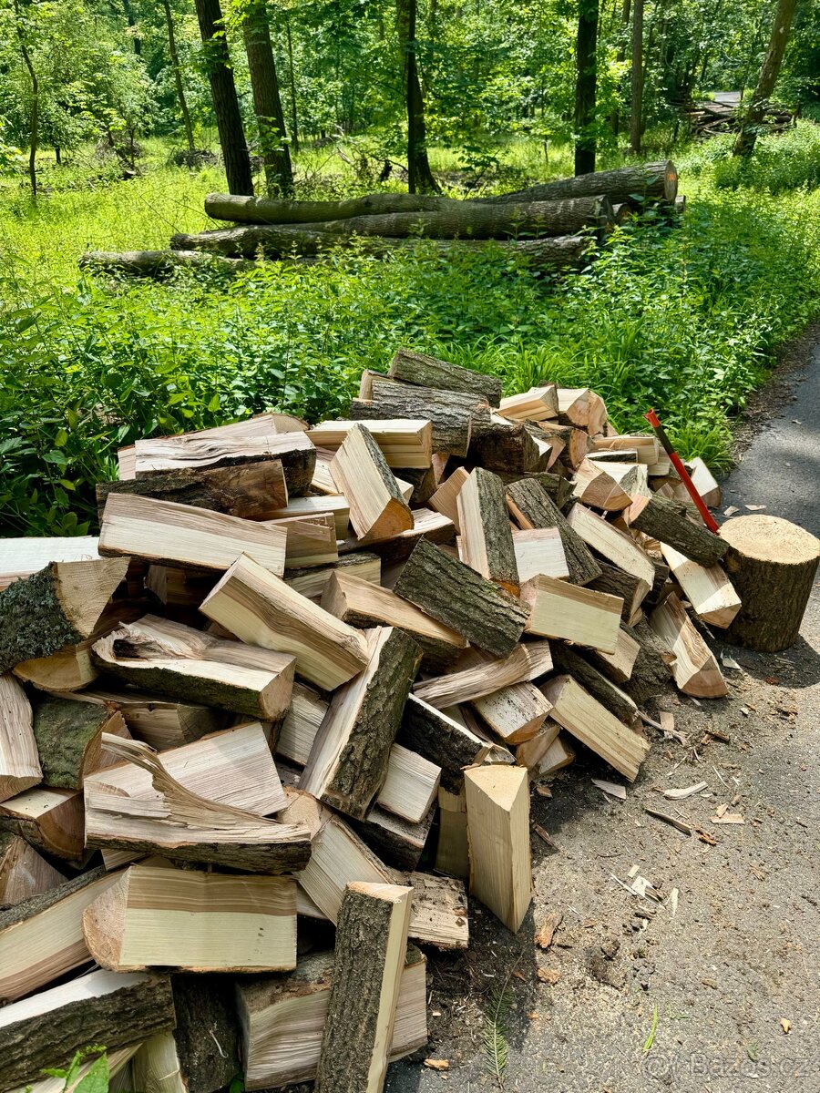 Prodej palivového dřeva - 19