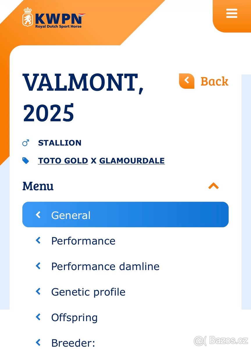 Nadějný drezurní hřebeček po odstavu Toto Gold/Glamourdale - 19