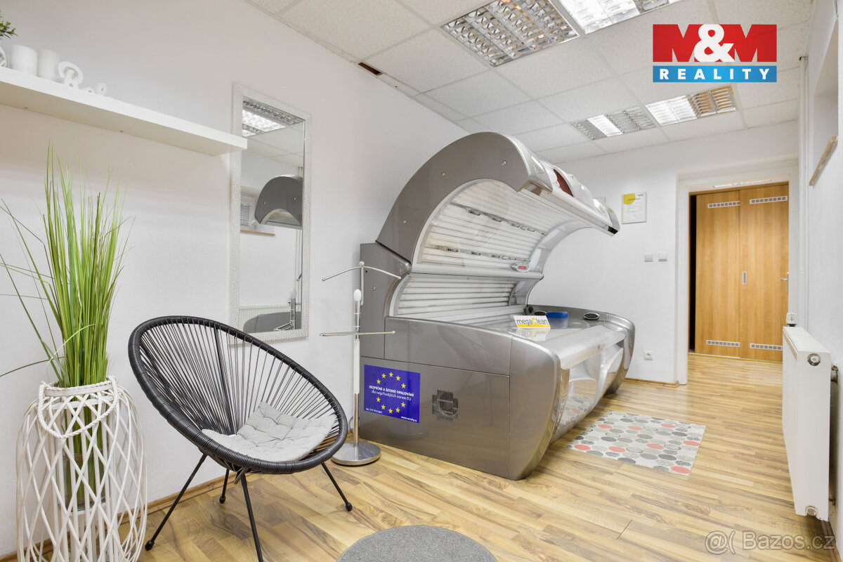 Prodej rodinného domu, 300 m², Roudnice nad Labem, ul. Rvačo - 19