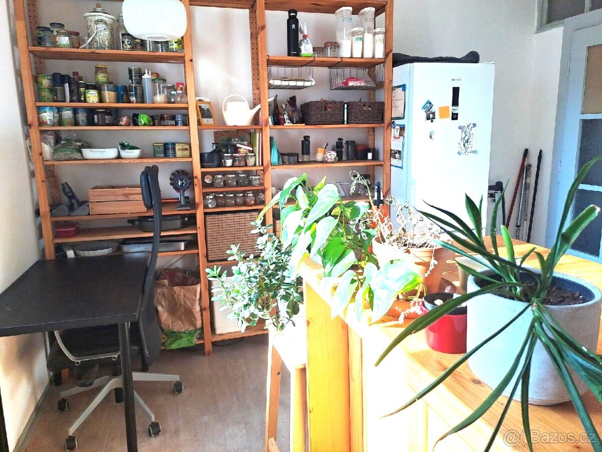 Prodej bytu 1+1 45 m² Hvězdova, Praha - Nusle - 19