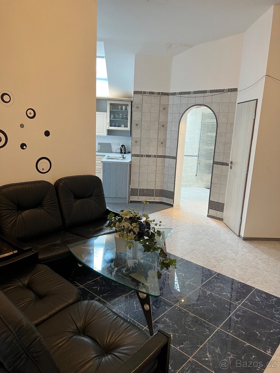 PRONÁJEM ubytování pro firmy i zaměstnance - 19