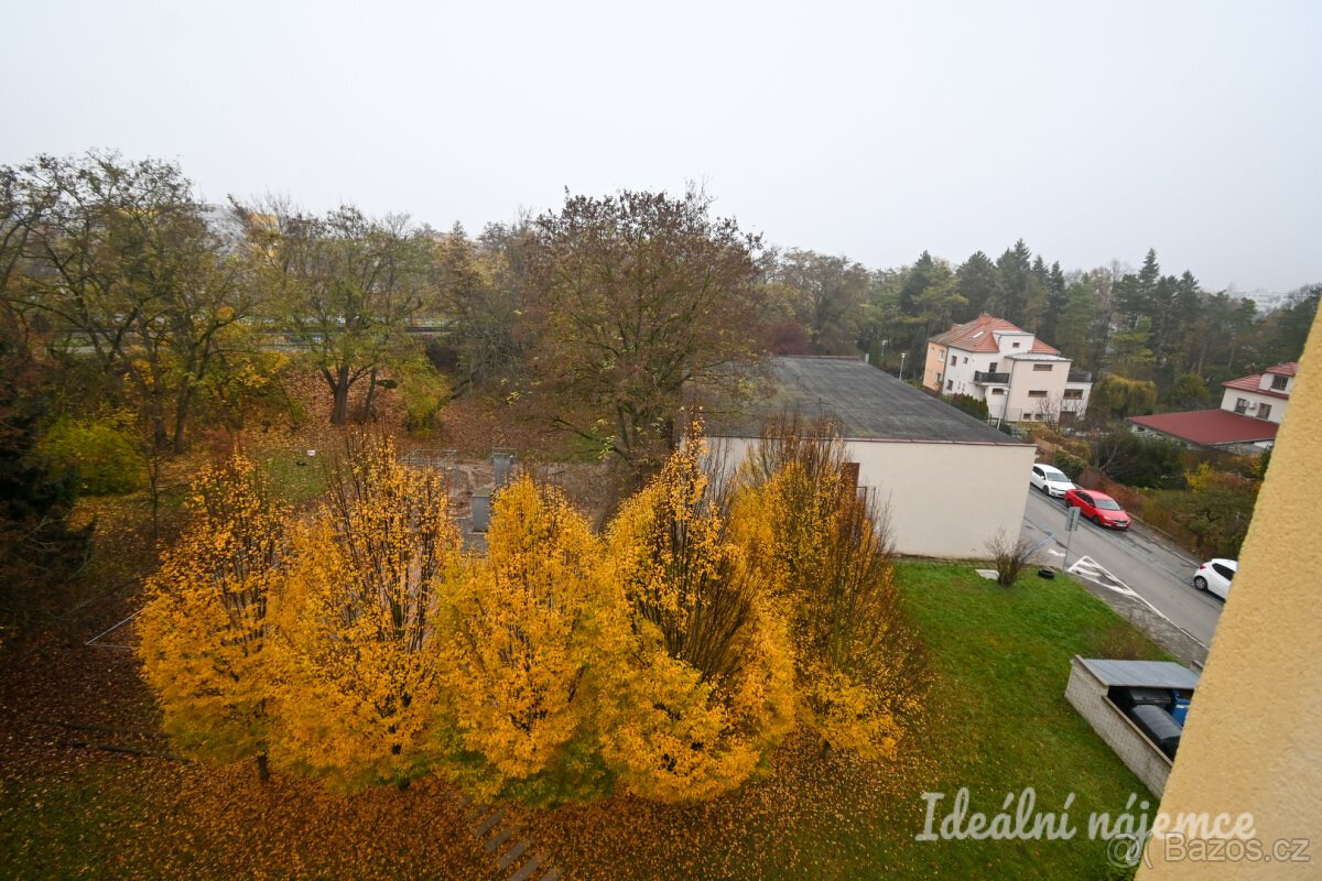 Pronájem bytu 3+1, Vysoká, Štýřice, 21.900 Kč/měs, 58 m2 - 19