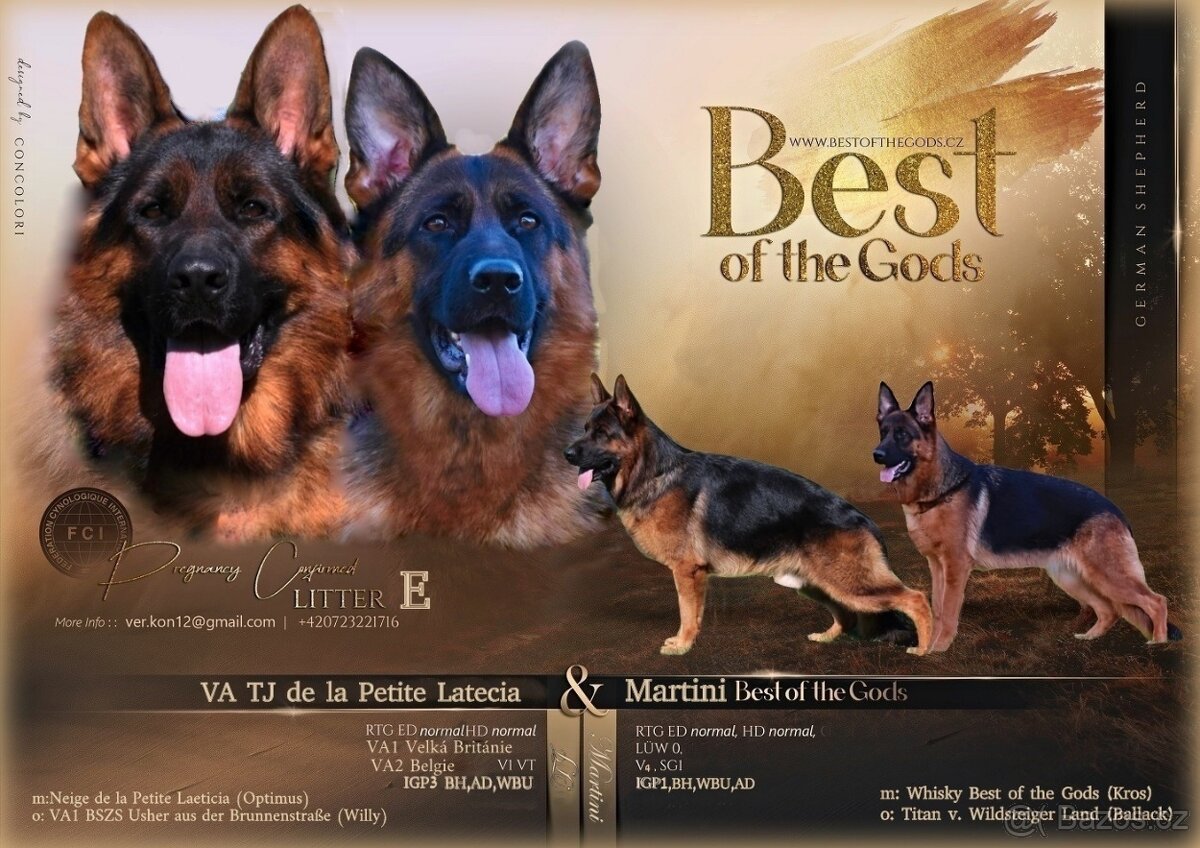 Německý Ovčák - štěňata - 19