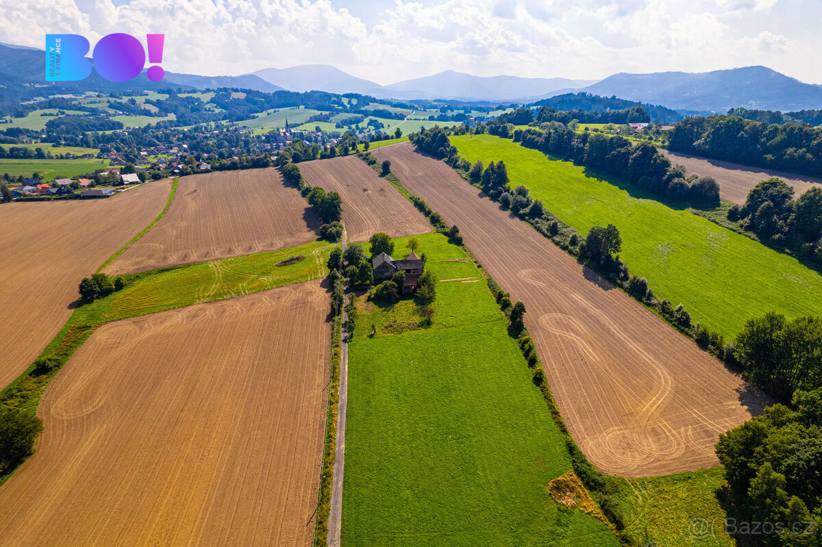 Prodej pozemků se stavbou, Janovice - 19