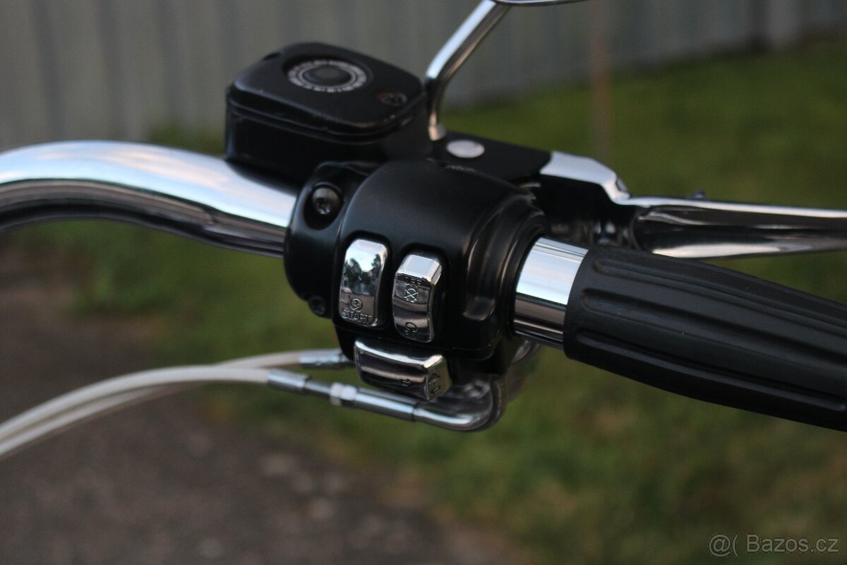 Harley-Davidson 1998 FLSTS Heritage Springer 95thAnniversary - 19