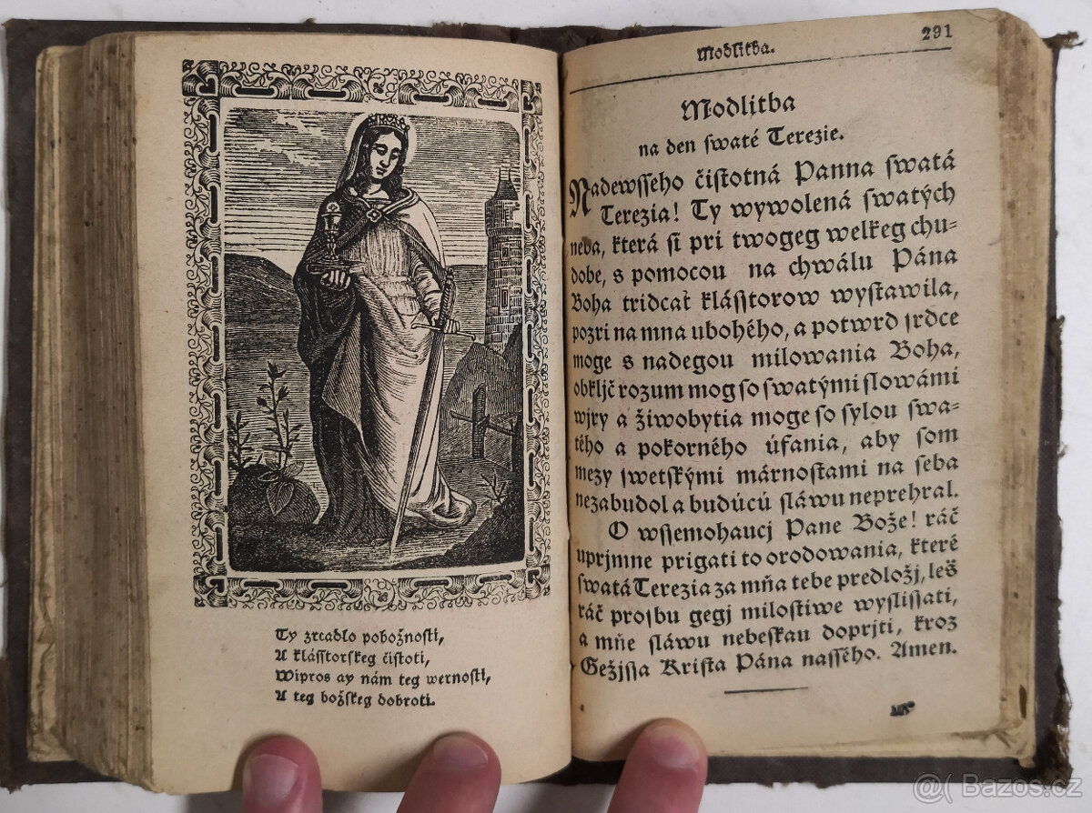 Stepná zahradka 1850 - 19