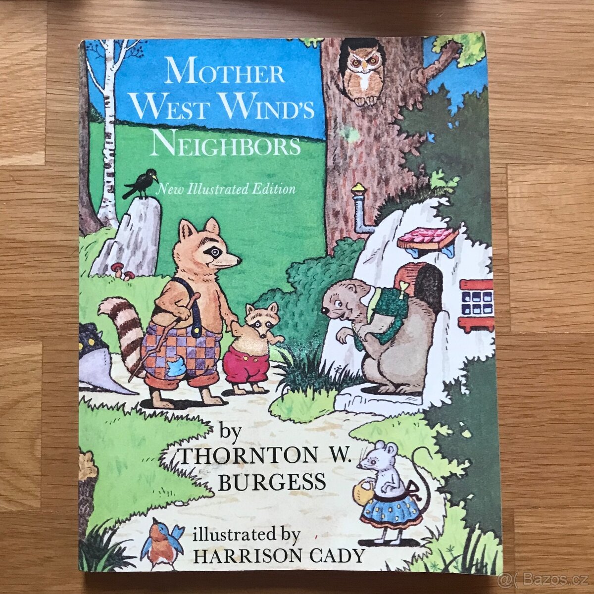 Knihy pro mládež v AJ a dětské knihy v NJ - 19