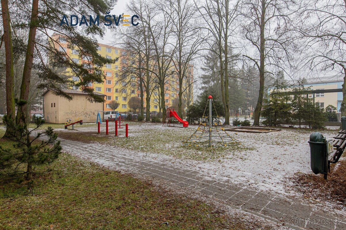 Prodej, byt 2+1, Zábřeh, ul. Severovýchod - 19