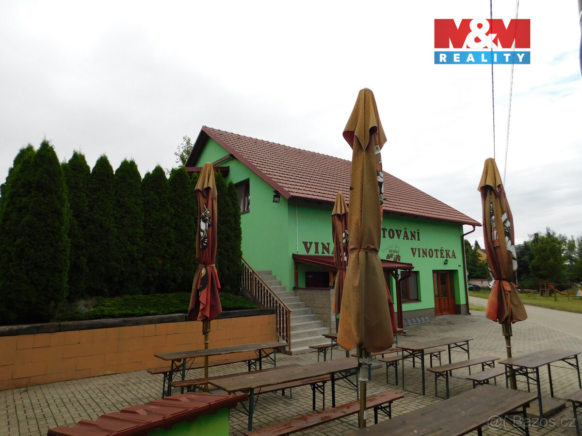 Prodej RD o dvou bytových jednotkách v Březí u Mikulova - 19