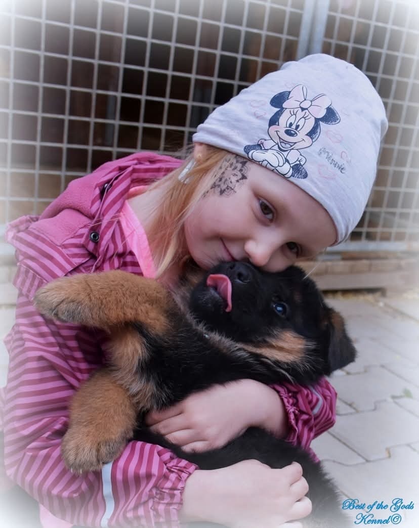 Německý Ovčák - štěňata - 19