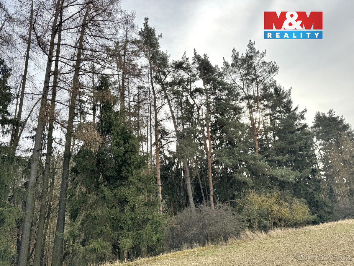 Prodej chalupy, 3642 m², Trhový Štěpánov, obec Dálkovice - 19