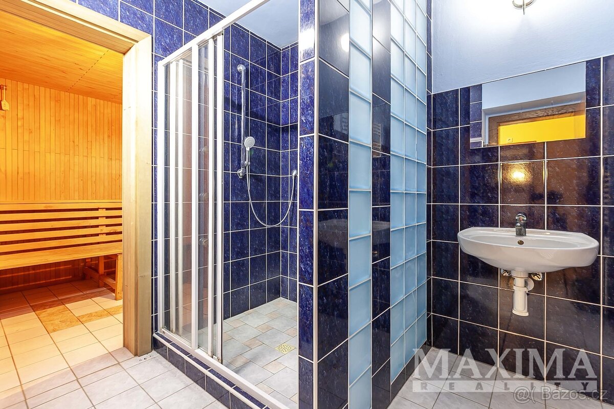 Dům 6 a více o ploše 565 m2 - Zruč-Senec, Zruč - 19