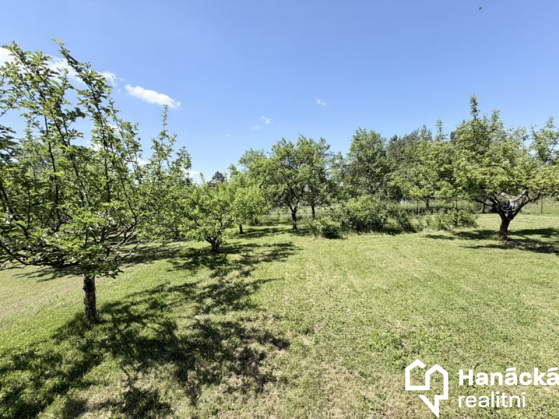 Prodej, Zahrada, 808m2, Jankovice - 19